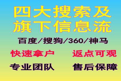 经典案例：专业SEM托管如何实现ROI最大化